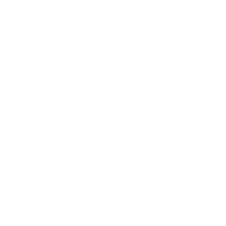 house protection outline icon